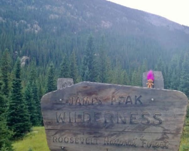 Oswald at James Peak in Black Hawk, CO, USA