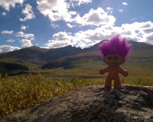 Oswald at Guanella Pass in Georgetown, CO, USA