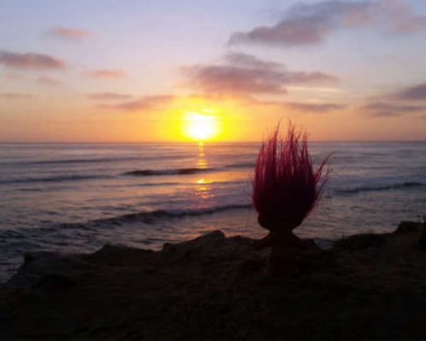 Oswald at Sunset Cliffs in San Diego, CA, USA