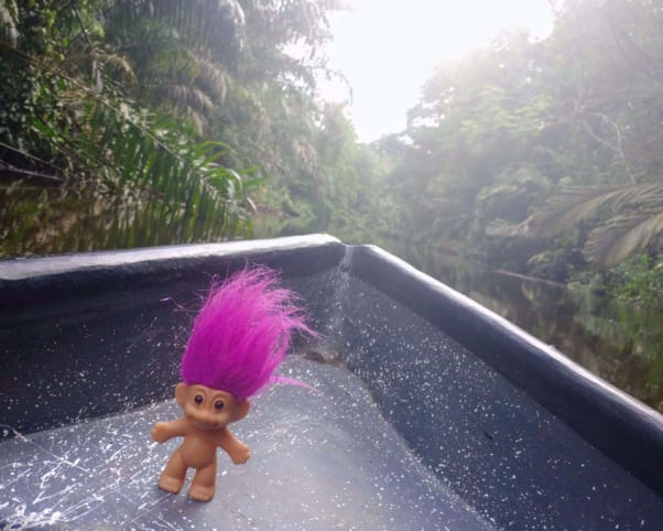 Oswald at Tortuguero in Tortugeuro, Costa Rica