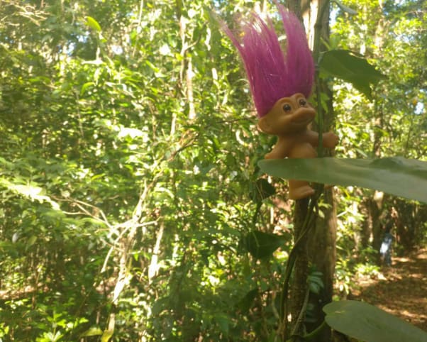 Oswald at Curi Cancha Reserve in Monteverde, Costa Rica