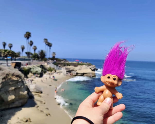 Oswald at La Jolla Cove in La Jolla, CA, USA
