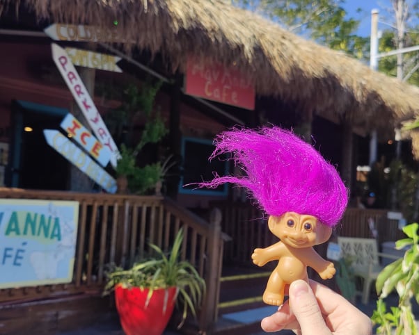 Oswald at HavAnnA Cafe in Chokoloskee, FL, USA