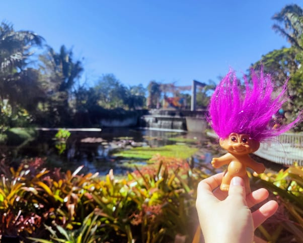 Oswald at Naples Botanical Garden in Naples, FL, USA