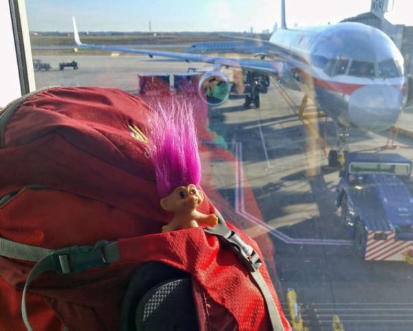 Oswald at Charlotte Douglas International Airport in Charlotte, NC, USA
