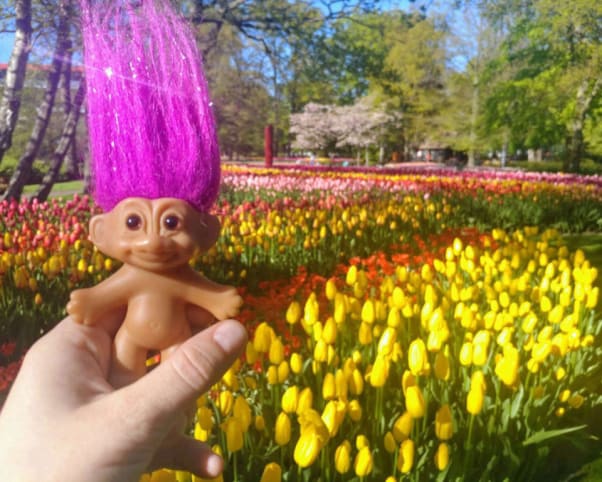 Oswald at Keukenhof Gardens in Lisse, Netherlands