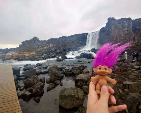 Oswald at Þingvellir national park in Thingvellir, Iceland