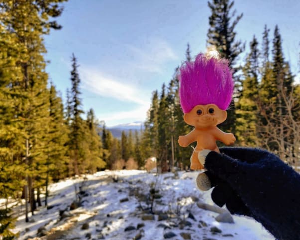 Oswald  in Idaho Springs, CO, USA