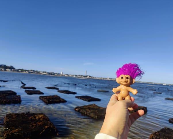 Oswald at Mermaid farm in Provincetown, MA, USA