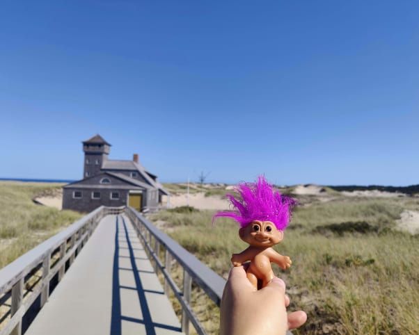 Oswald at Cape Cod National Seashore in Provincetown, MA, USA