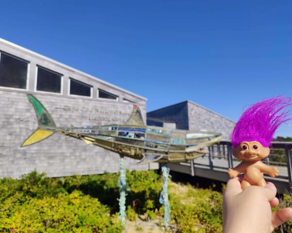 Oswald at Herring Cove Beach in Provincetown, MA, USA