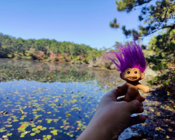 Oswald at Bennett Pond in Provincetown, MA, USA