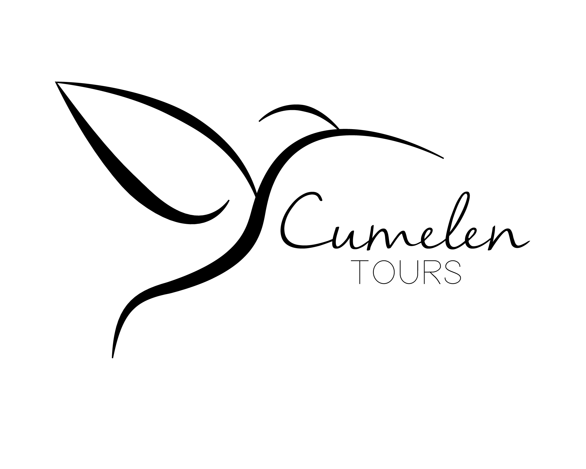 logo-custom1