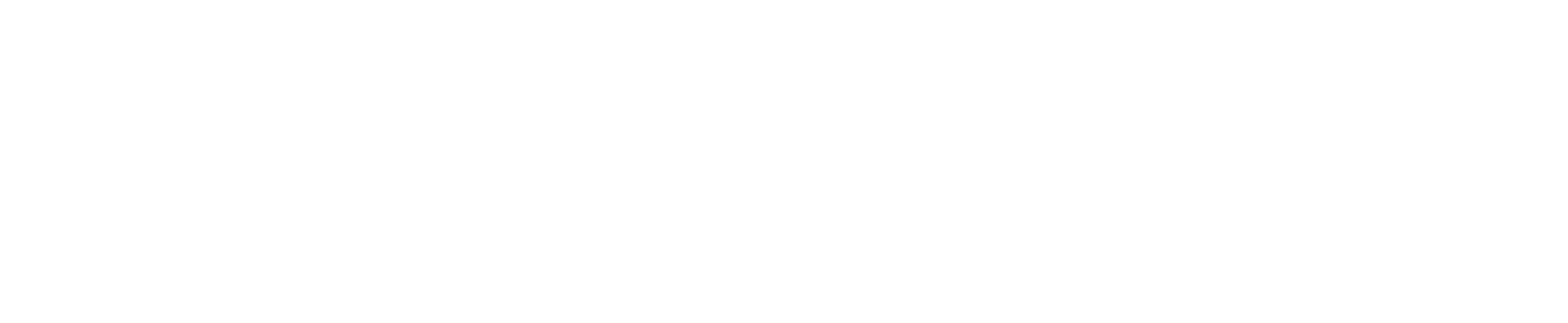 logo-custom1