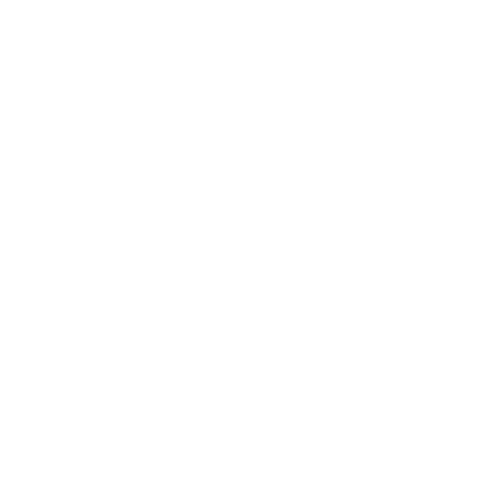 logo-custom1