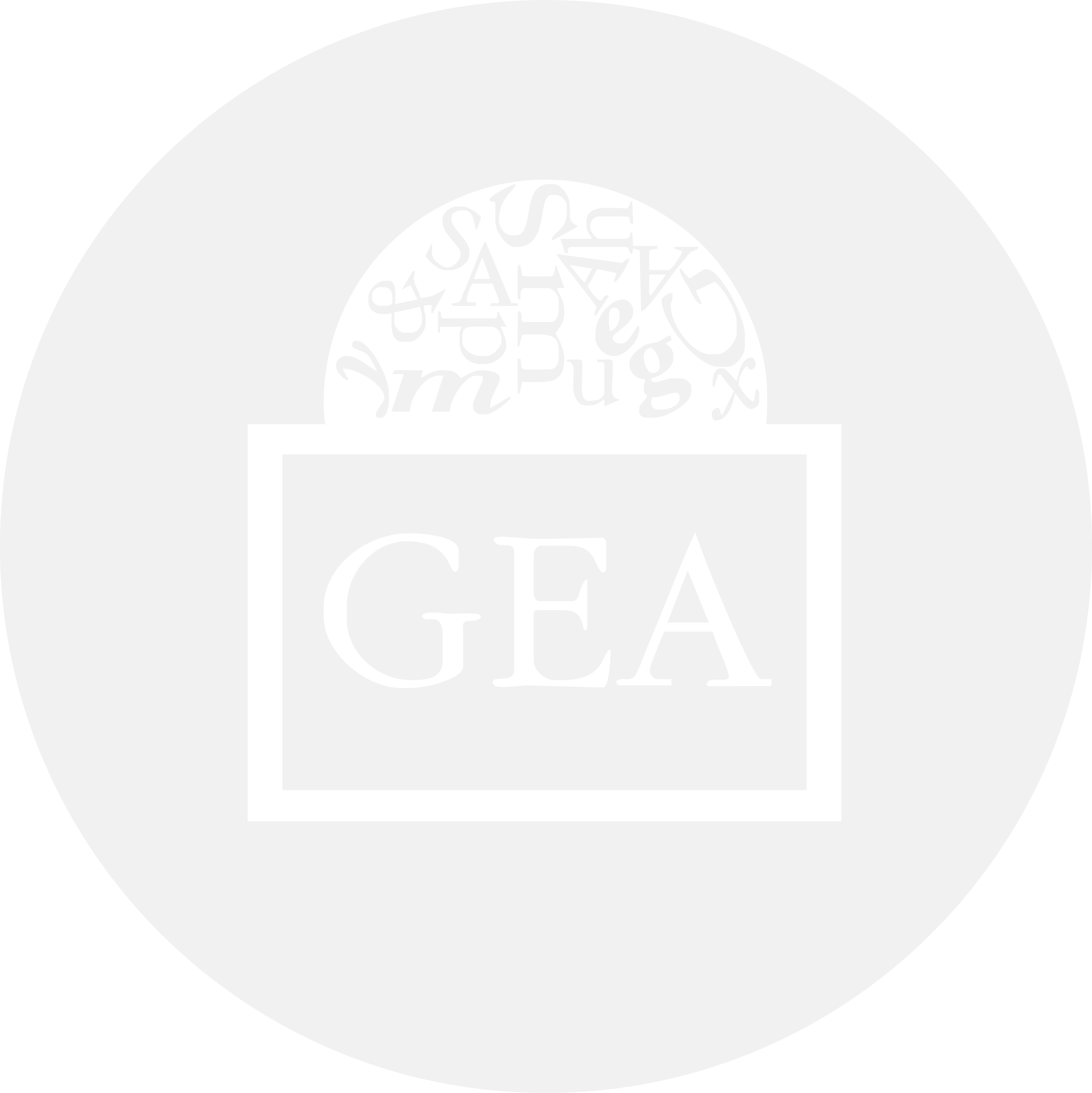 logo-custom2