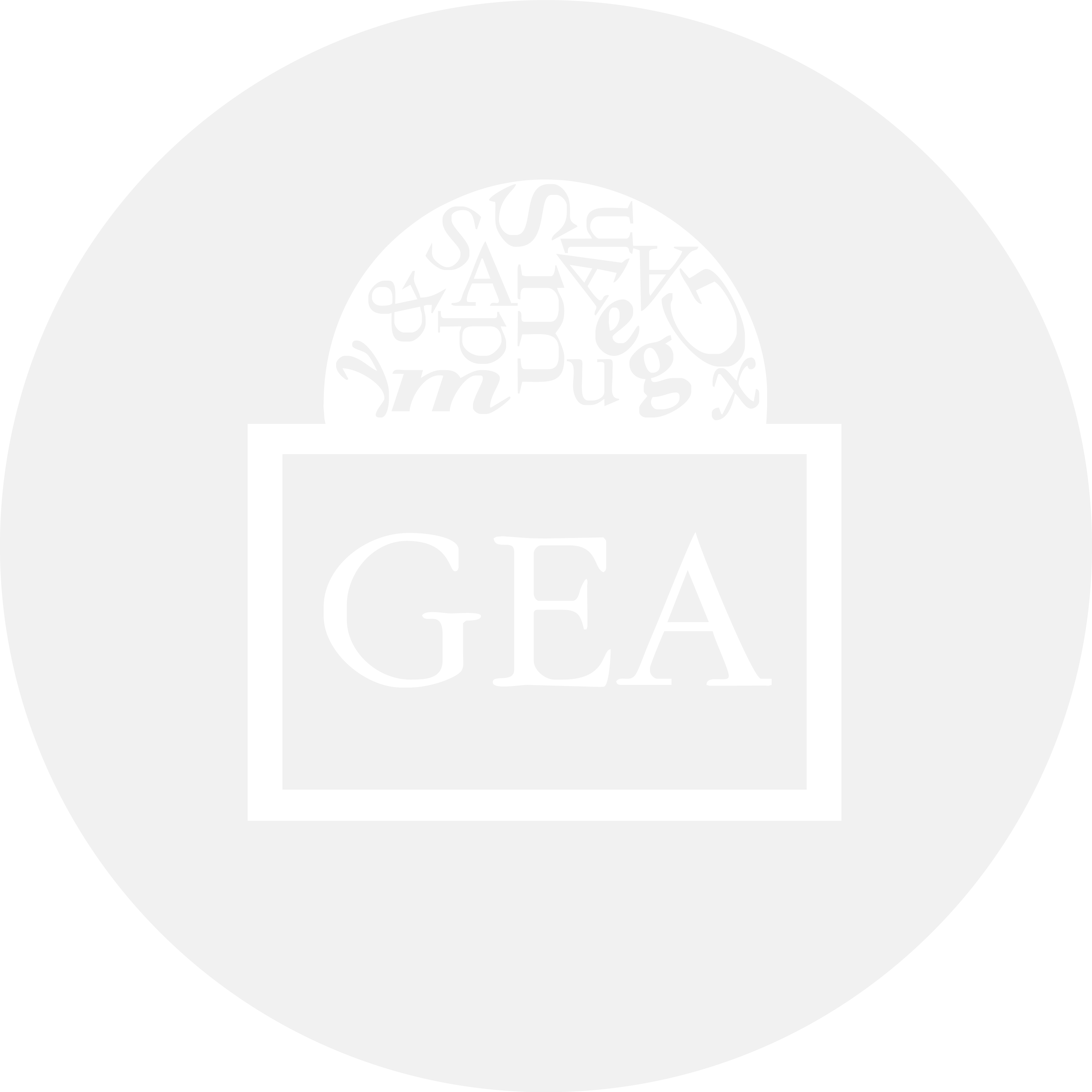 logo-custom1