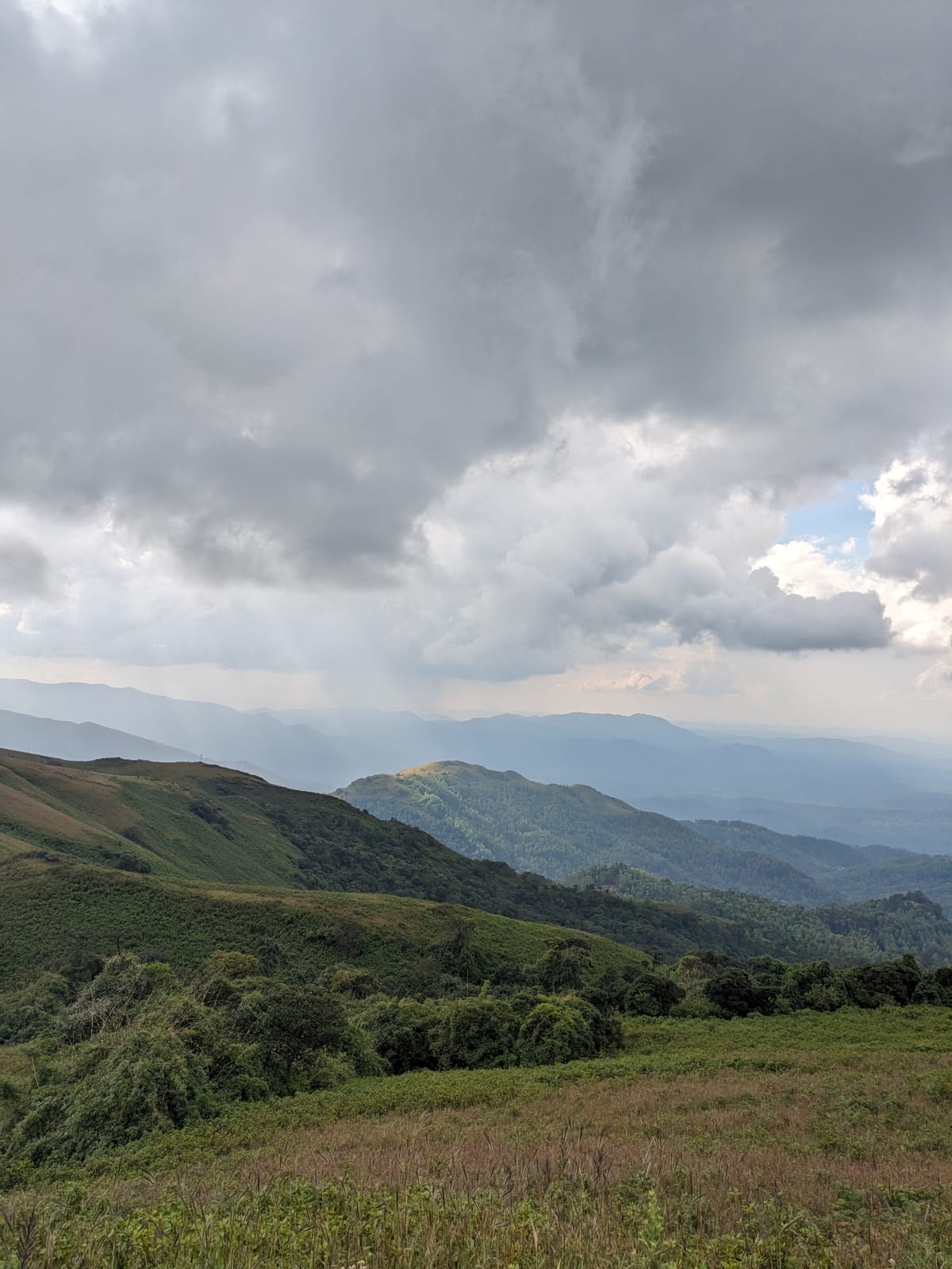 Misty green hills of the Chandra Drona range near Mullayanagiri, Chikmagalur