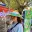 senongoing