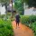 Japheth