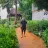 Japheth