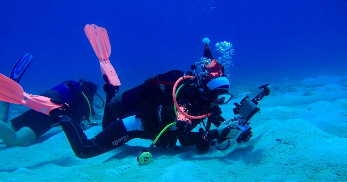 Scuba Diving In Mauritius A photo blog about diving in Mauritius