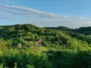 View from a drone of lush green forest and low hills surrounding a house called Šumska 1 in Serbia