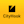 Company icon