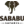Company icon