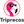 Company icon