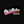 Company icon