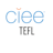 Company icon