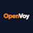 Company icon