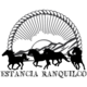 Company icon