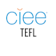 Company icon