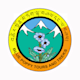 Company icon
