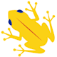 Company icon