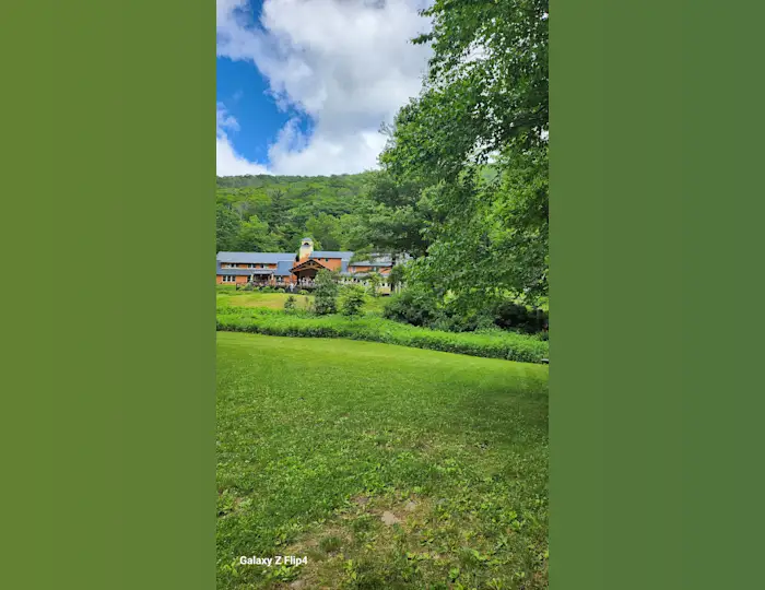 Outside the grounds at Menla with lush green grass and a tree.