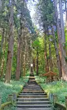 Stairs lead up to between lush green trees to Haishiwa Shrine (配志和神社), Ichinoseki, Iwate