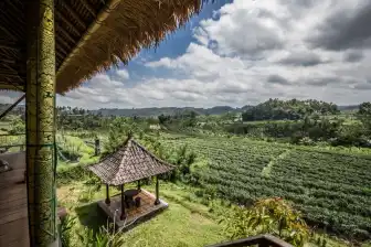 Lush green tropical Asian farmland and landscape looking out from the canopy of a hut