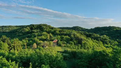 View from a drone of lush green forest and low hills surrounding a house called Šumska 1 in Serbia