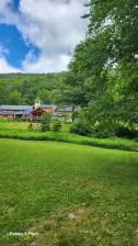 Outside the grounds at Menla with lush green grass and a tree.