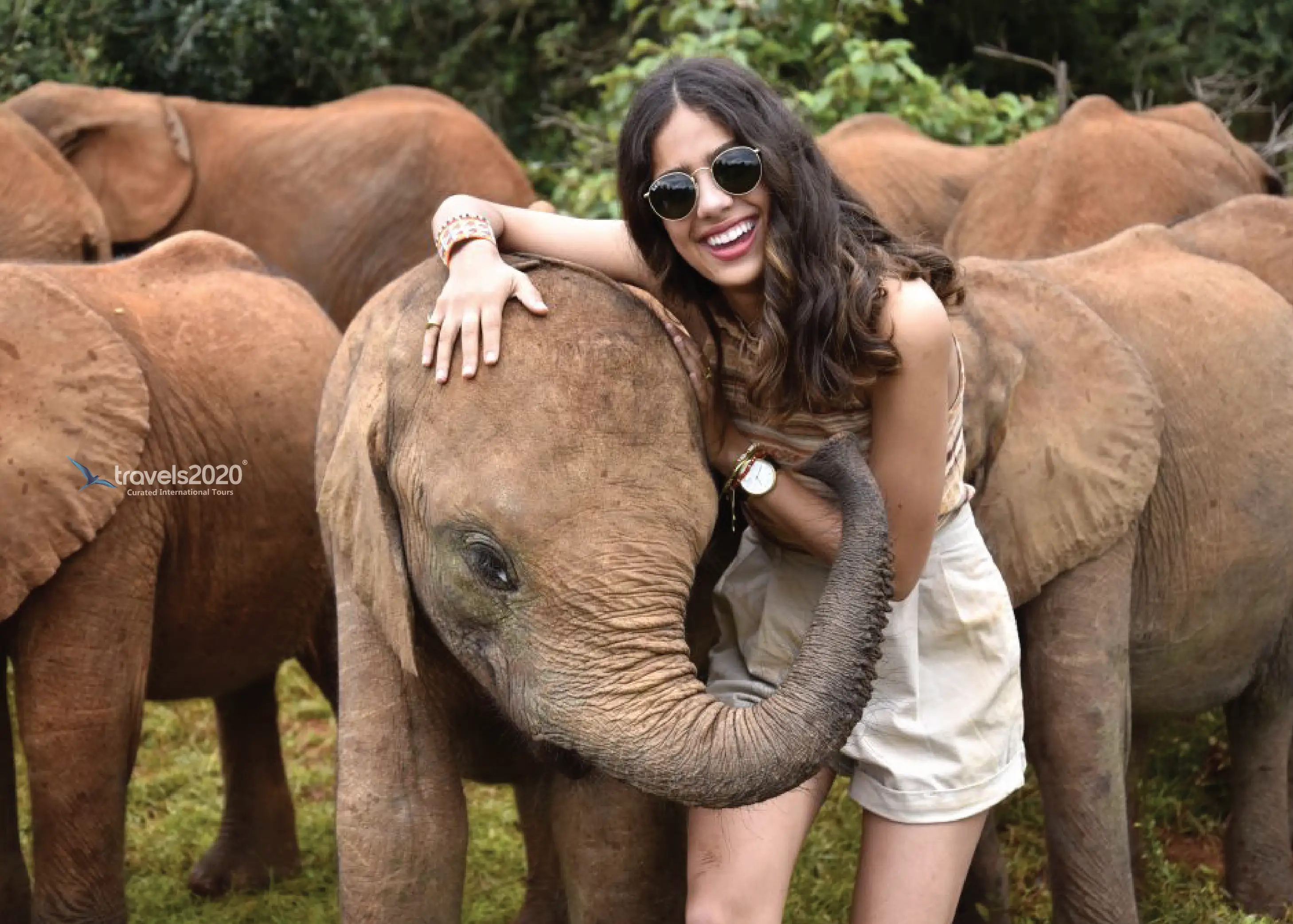 Classic Kenya Safari – Masai Mara and Amboseli Experience