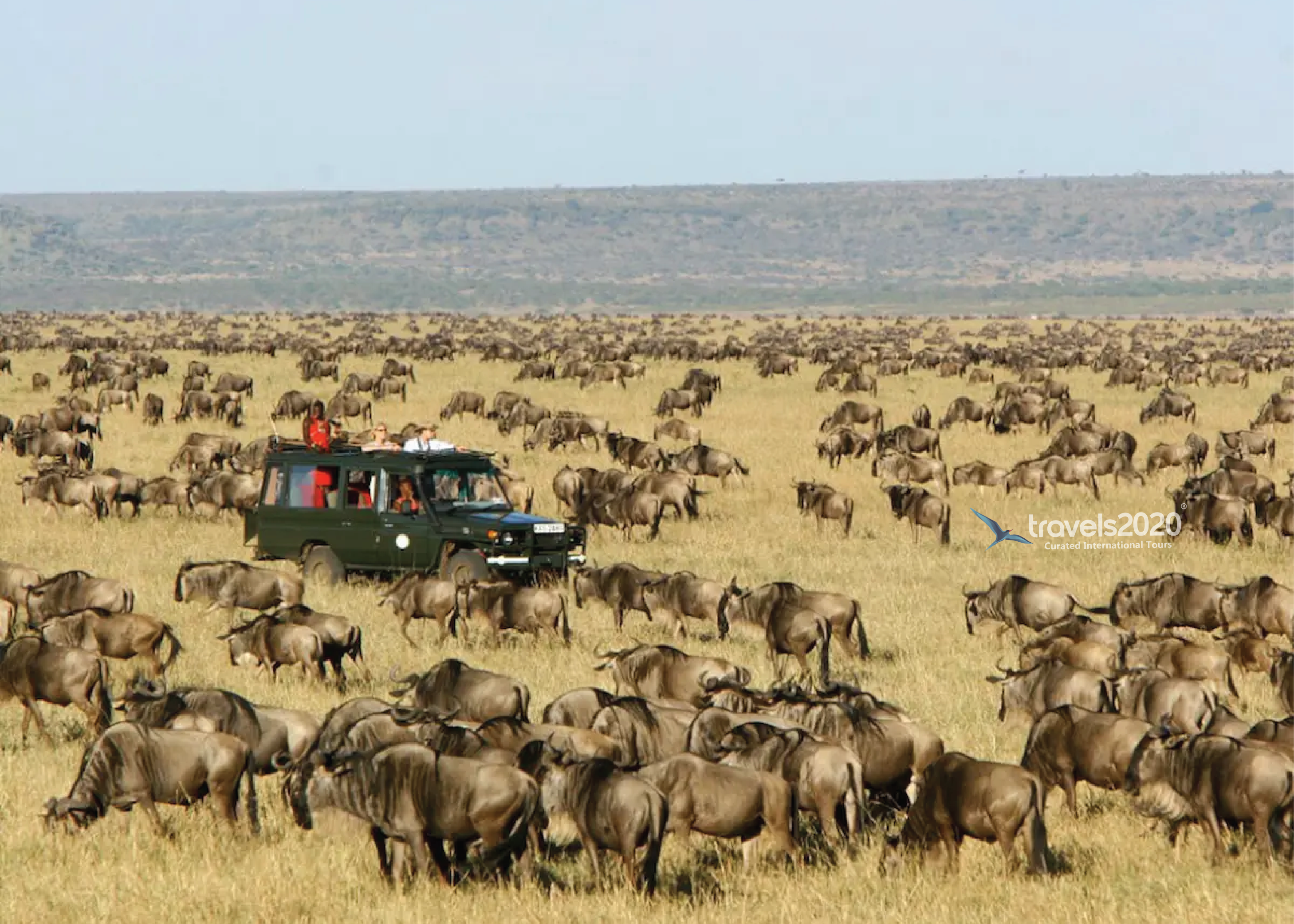 Masai Mara  Witness The Big Five In Kenya