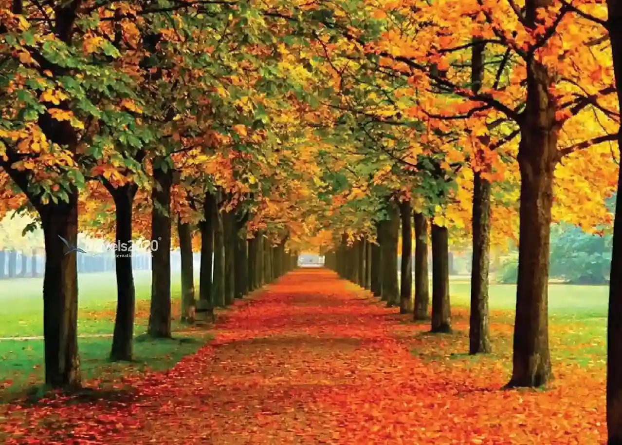 Best South Korea Itinerary  – Seoul, Busan, DMZ