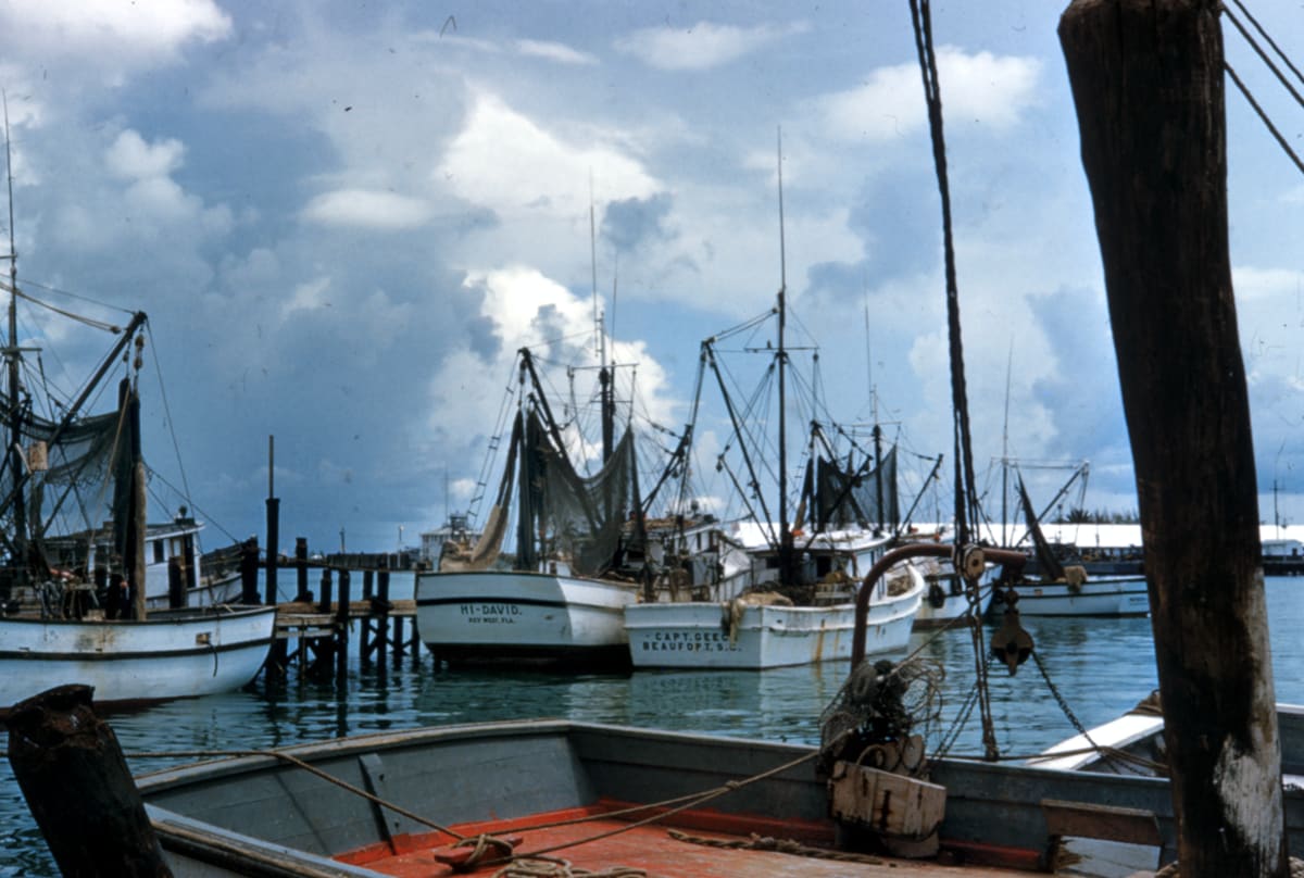 Boats at a dock