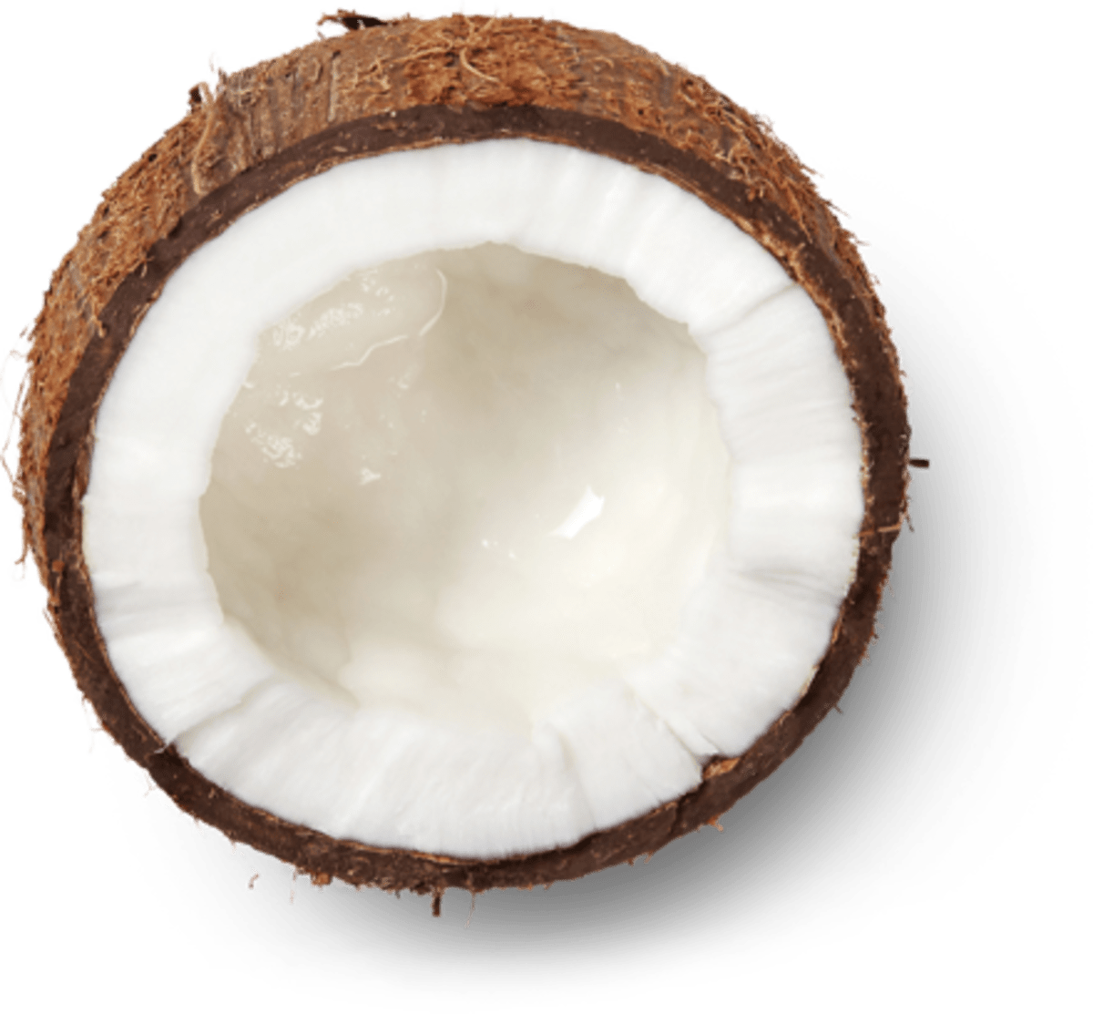 Open Coconut image