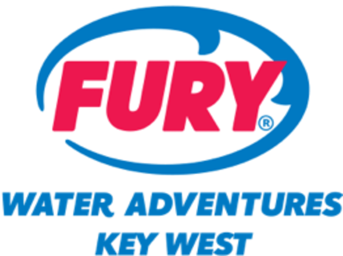 fury logo