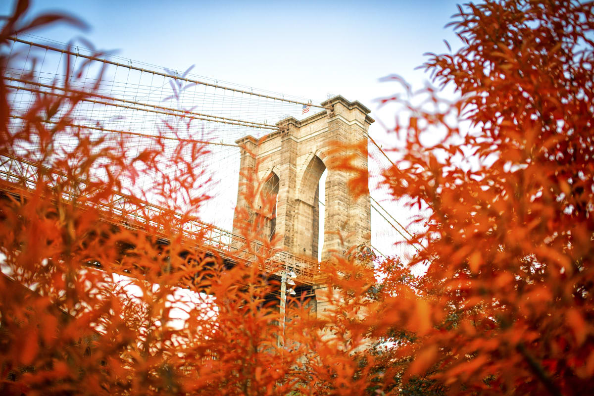 Brooklyn Bridge in fall, through red and orange colored leaves. 