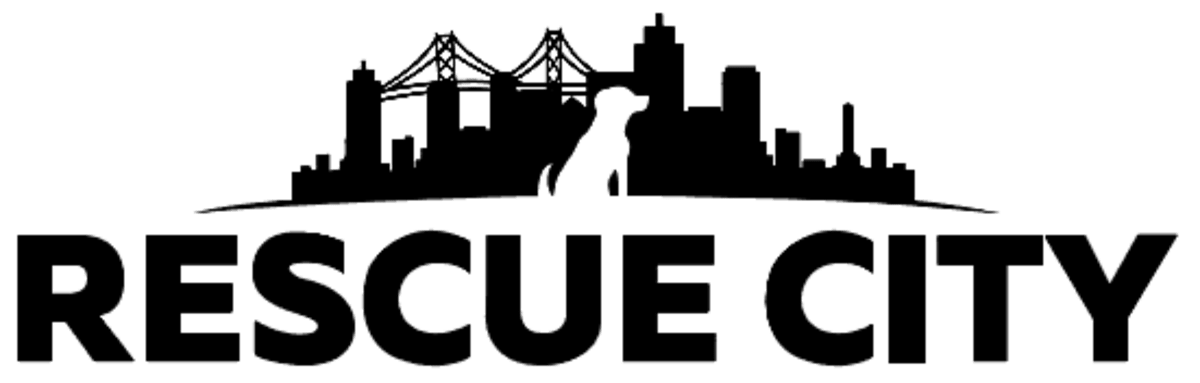 rescuecity-logo